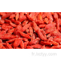 goji rouge sauvage chinois